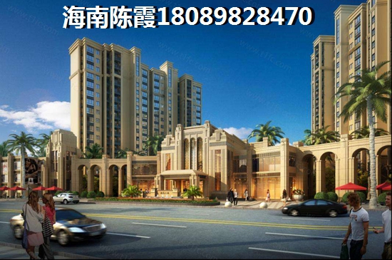 海南三亚市楼盘还有touzi的价纸吗？