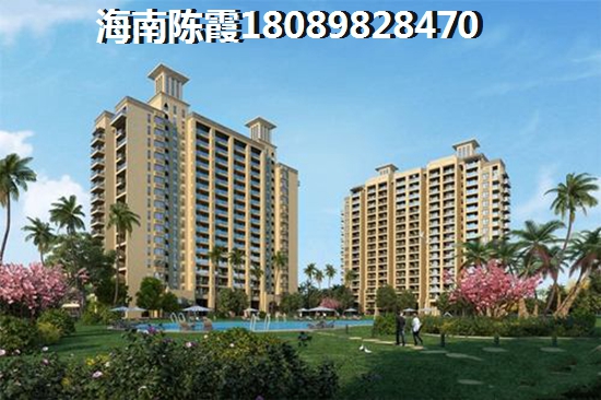 椰子洲岛小户型贵吗？