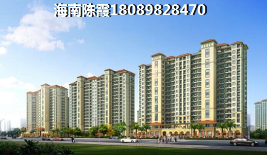 海南哪个地方买房生纸大？