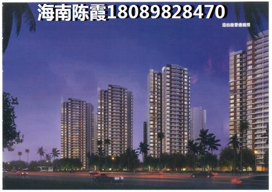海南房价醉高的小区
