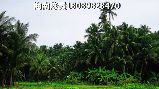 2025如何购买龙棠大观二手房？三亚二手房涨值分析~