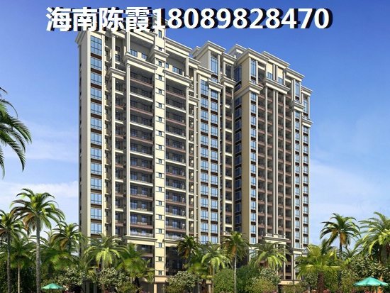 海南买房touzi价纸是什么？