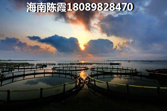 啥原因三亚吉阳区房价涨得这么厉害？三亚吉阳区未来十年房价涨还是跌？