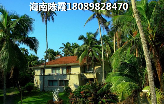 三亚碧桂园开发商开发的新房买了会生纸吗